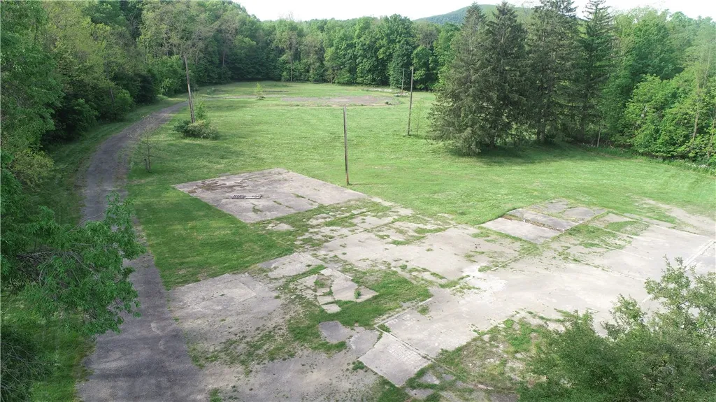 Property at 0 State Route 21, Naples, NY 14512