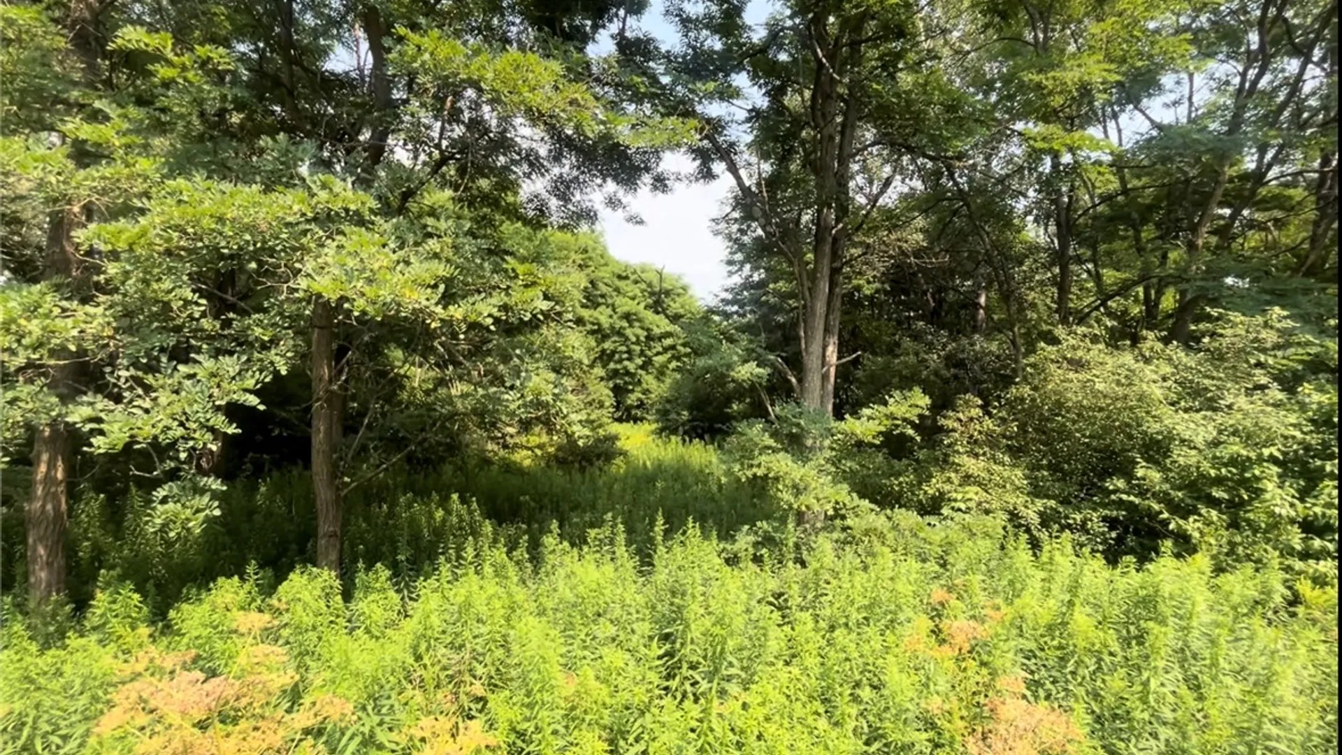 Property at Cecil Keane Road, Caroline, NY 14817 3