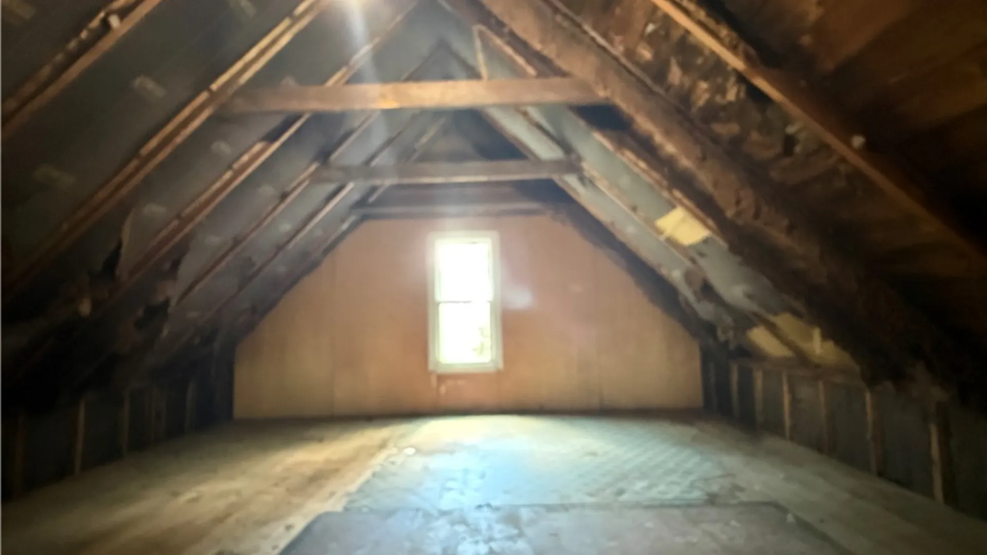 Property at 161 Farmer Street, Buffalo, NY 14207 18