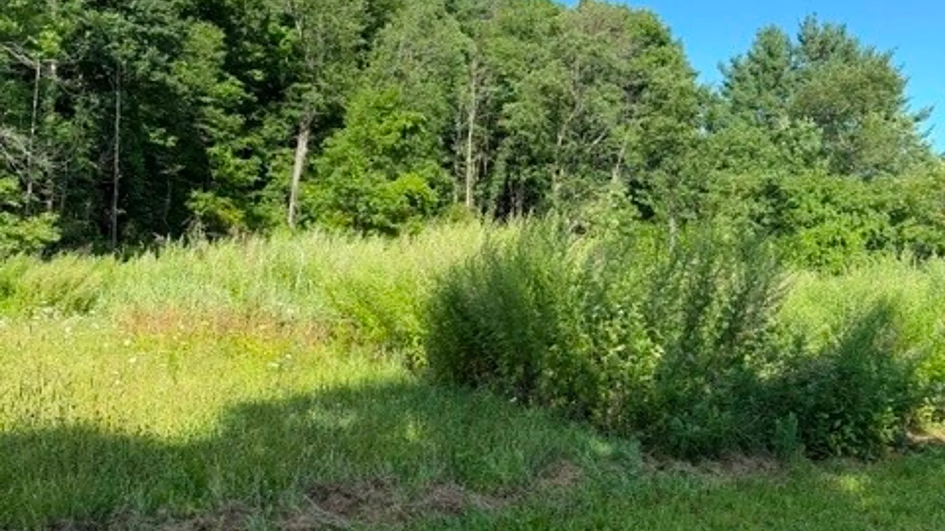Property at 304 Hulbert Hollow Road, Spencer, NY 14883 19