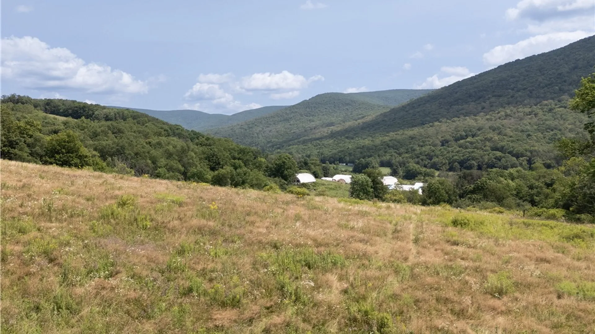 Property at 8 Turkey Ridge Rd, NY 12430 32