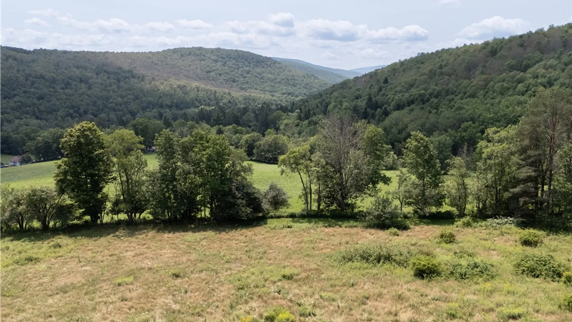 Property at 8 Turkey Ridge Rd, NY 12430 34