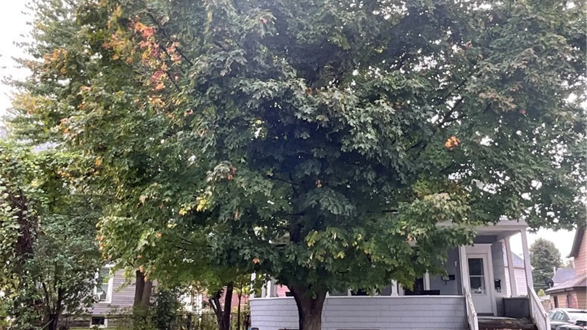 Property at 409 S Massey Street, Watertown City, NY 13601 5