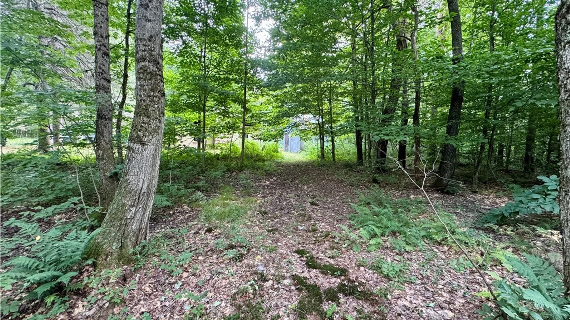 Property at 315 Old State Road, Redfield, NY 13437 16