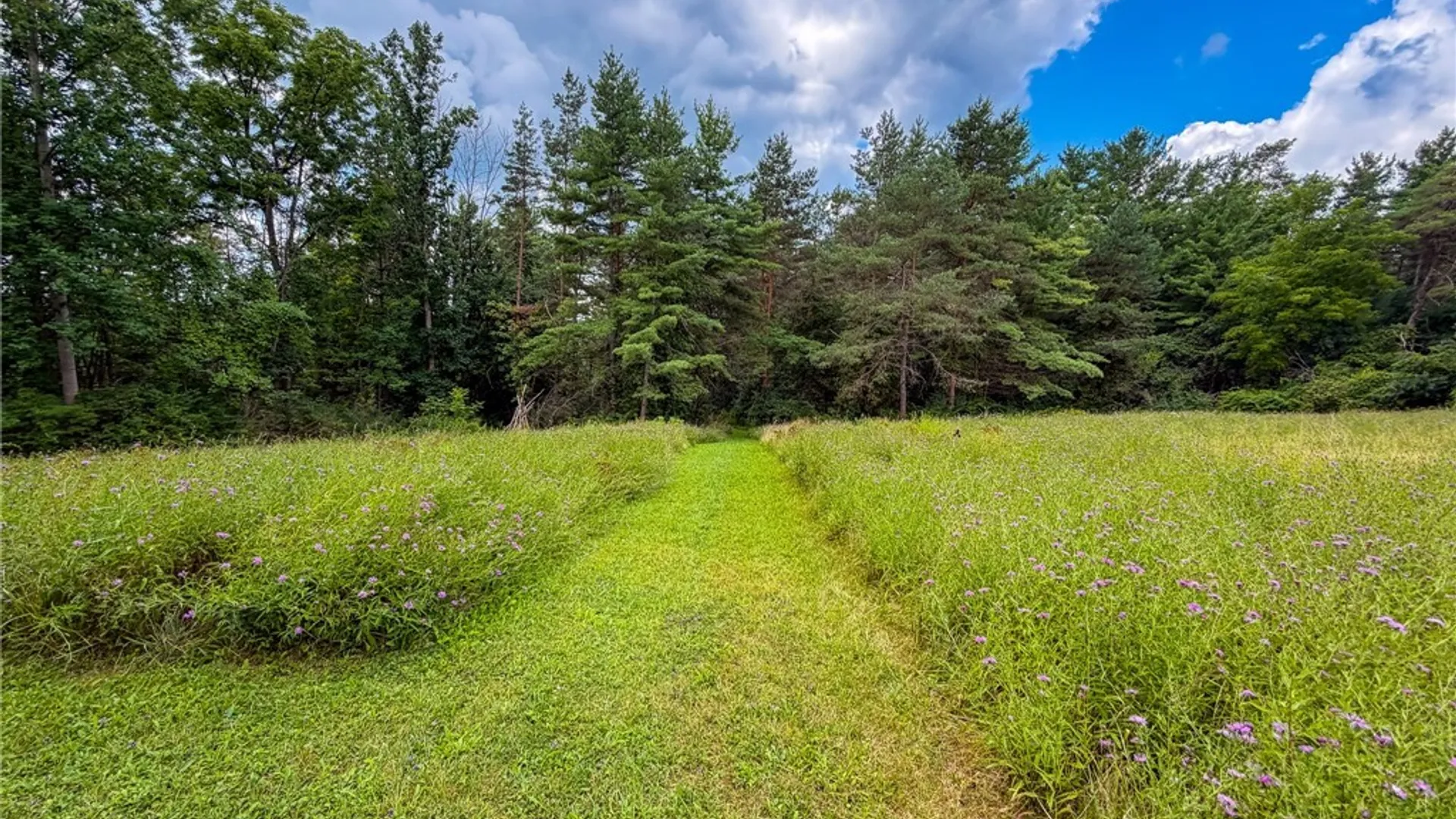 Property at 6207 E Lake Road, Owasco, NY 13021 44