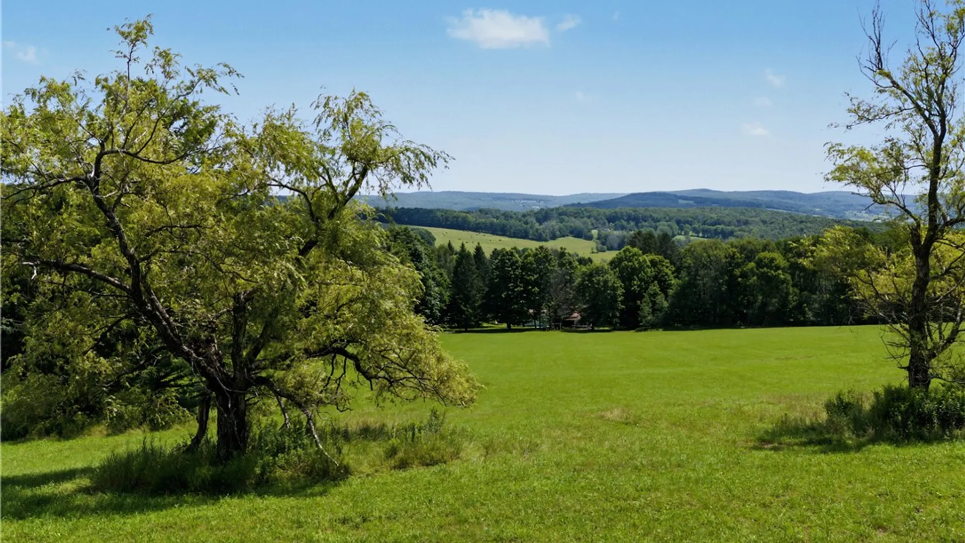 Property at 2695 Pomeroy Road, Franklin, NY 13846 40