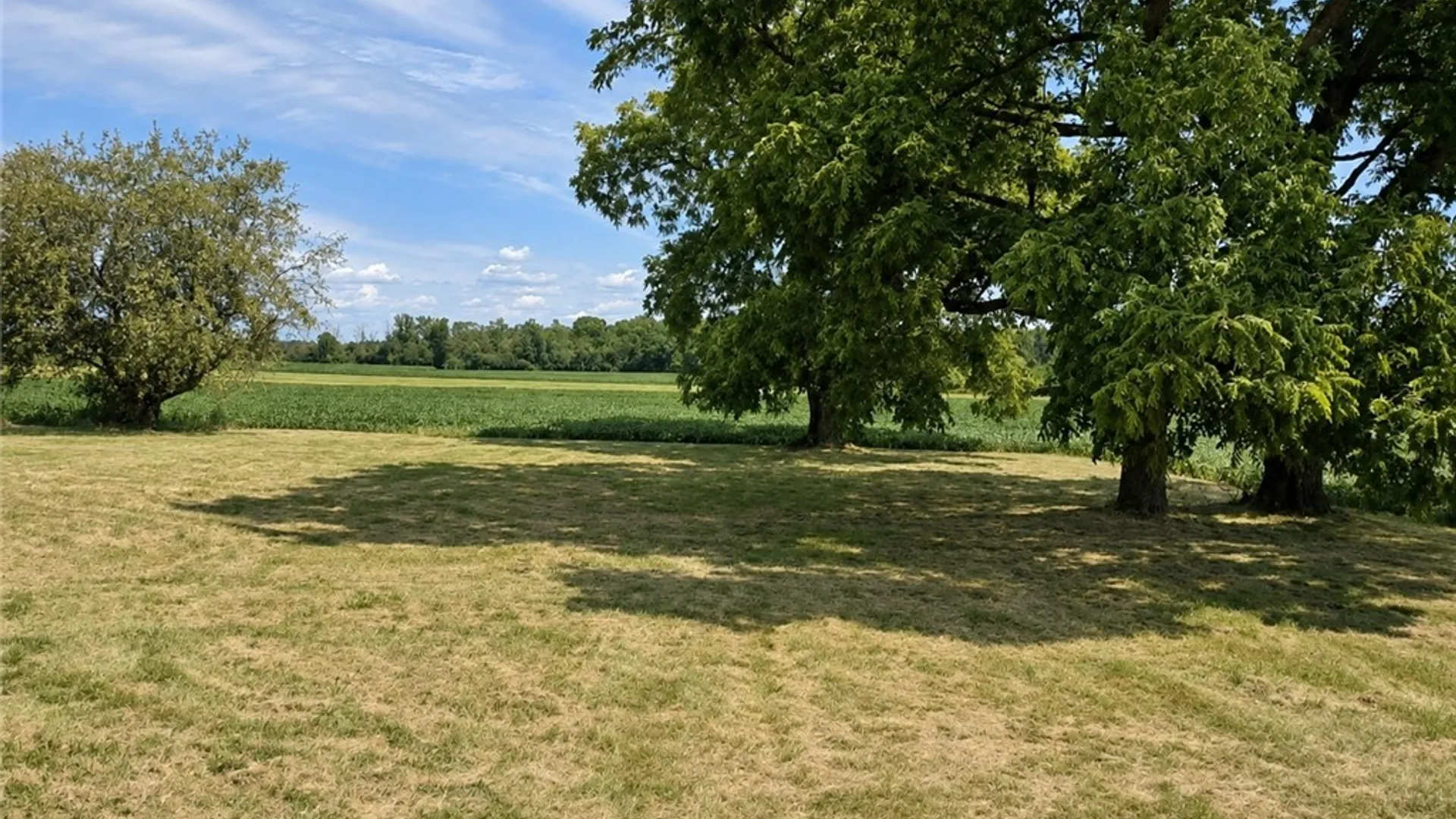 Property at 4655 State Route 96, Varick, NY 14541 17
