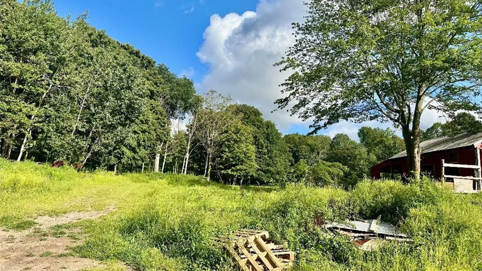 Property at 14306 Martville Road, Sterling, NY 13111 5