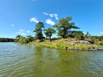 Property at 0 Snake Island, Morristown, NY 13664