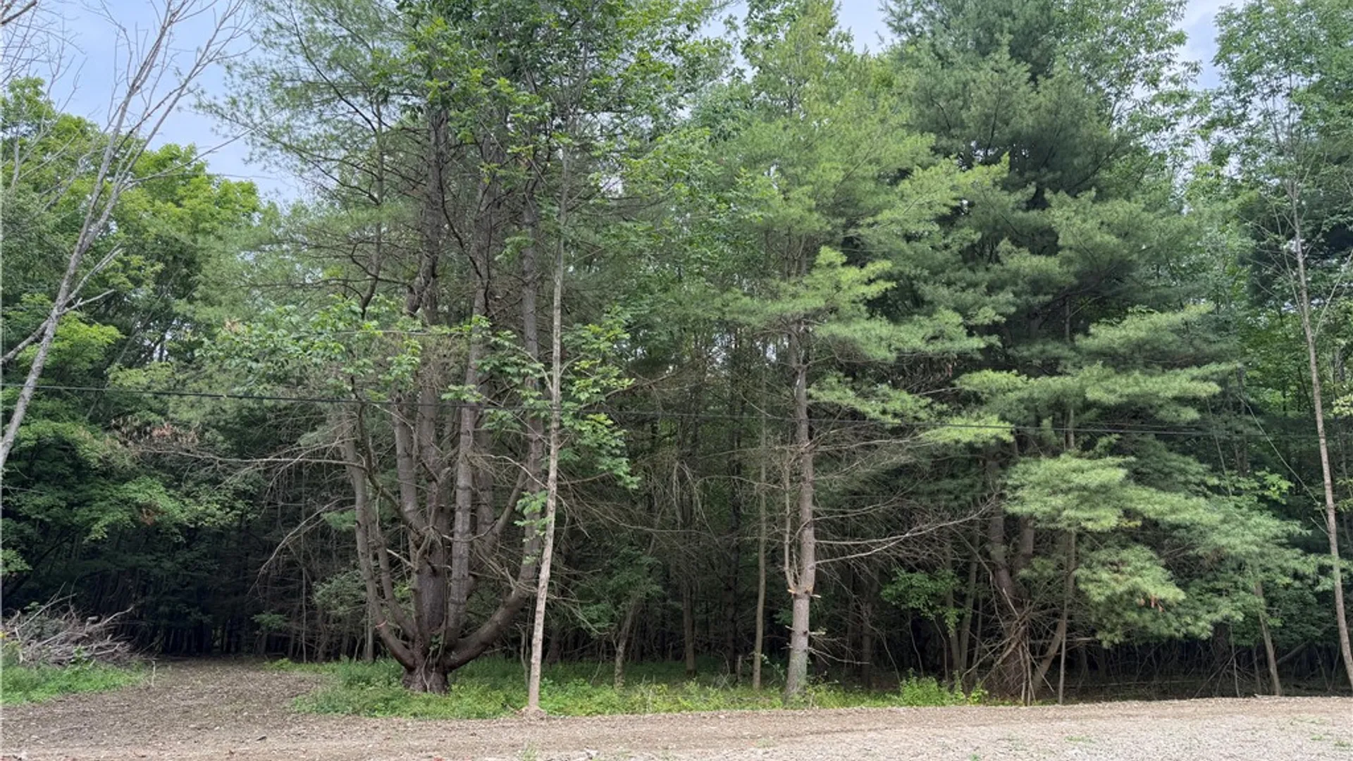 Property at 5279 South Church Rd, Cameron, NY 14820 17