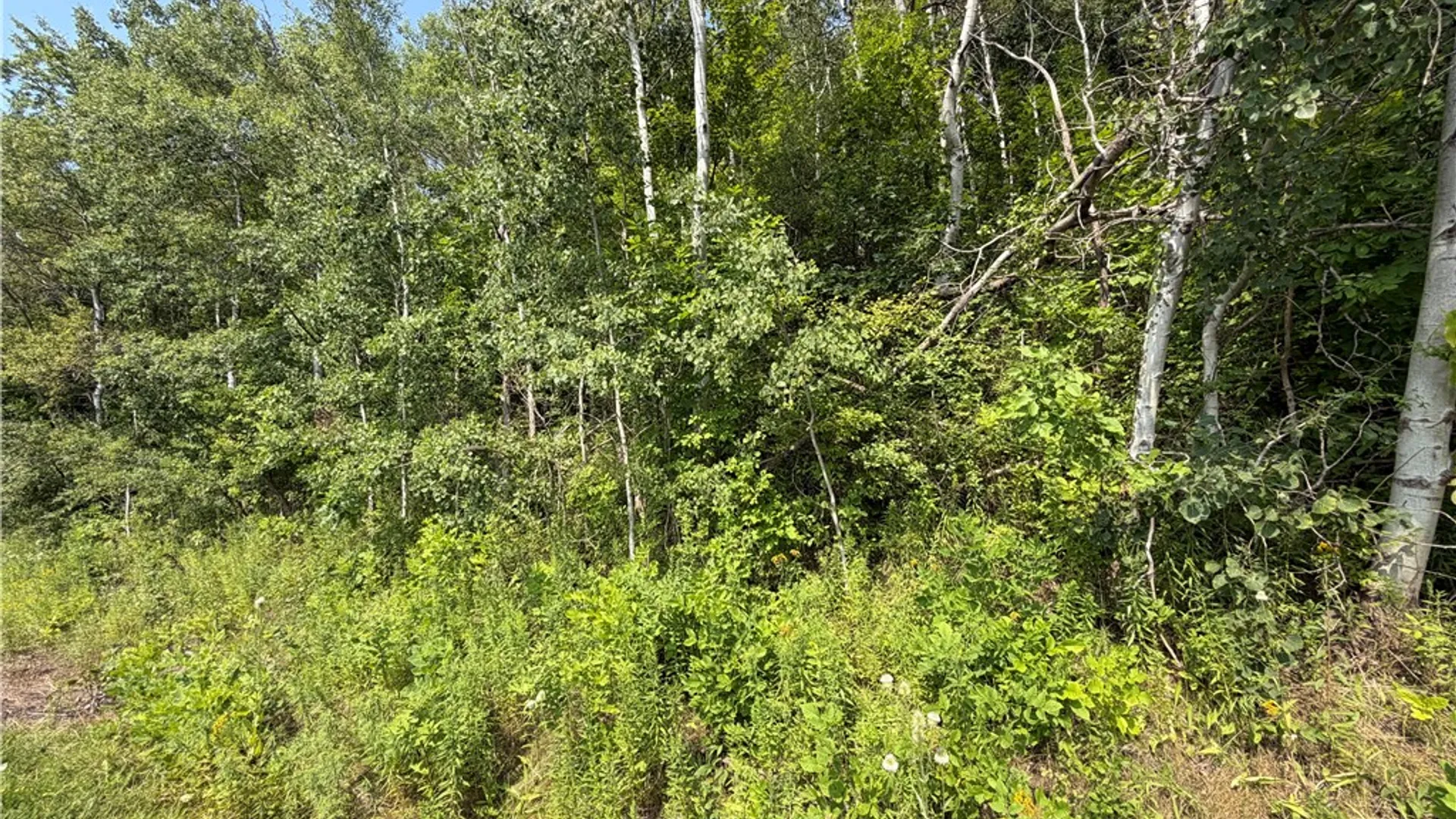 Property at 0 Rt-352, Corning, NY 14830 3