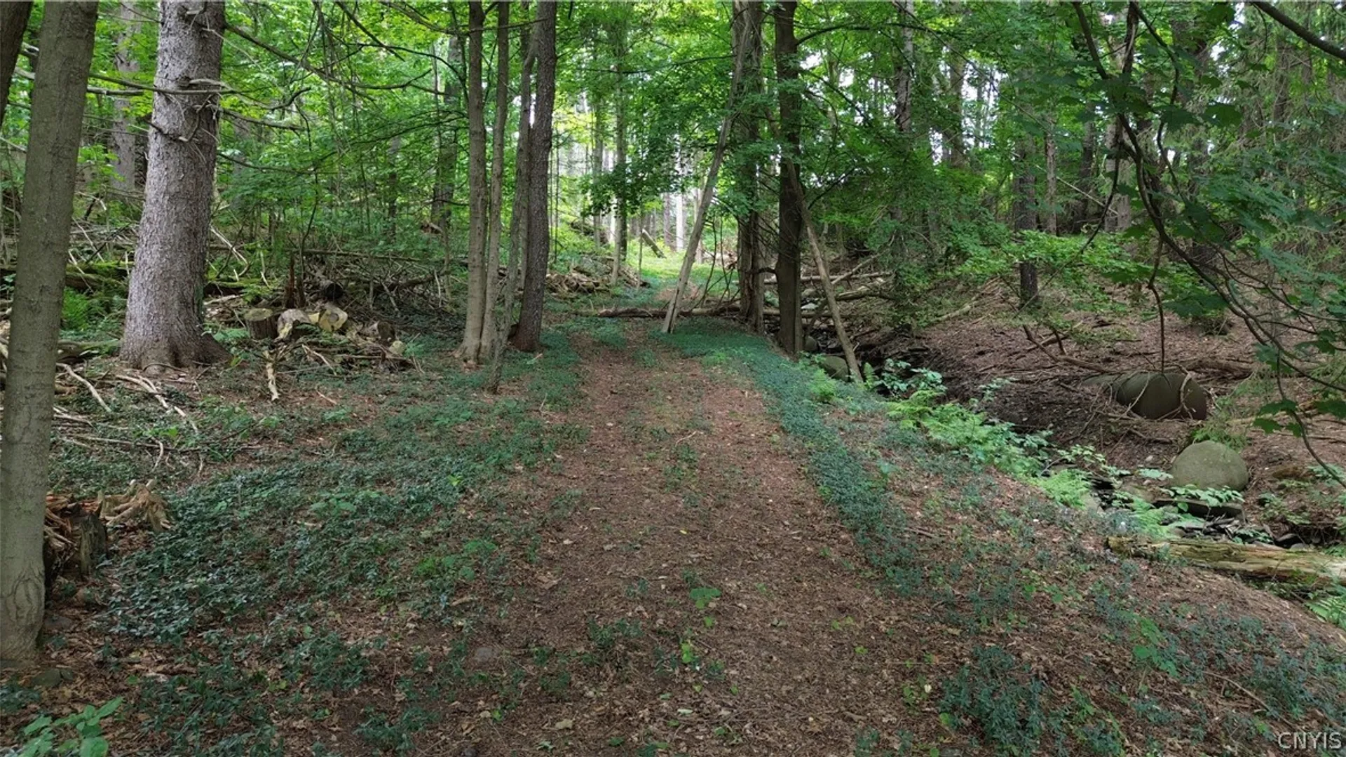 Property at 4515 State Route 281, Cortlandville, NY 13045 9