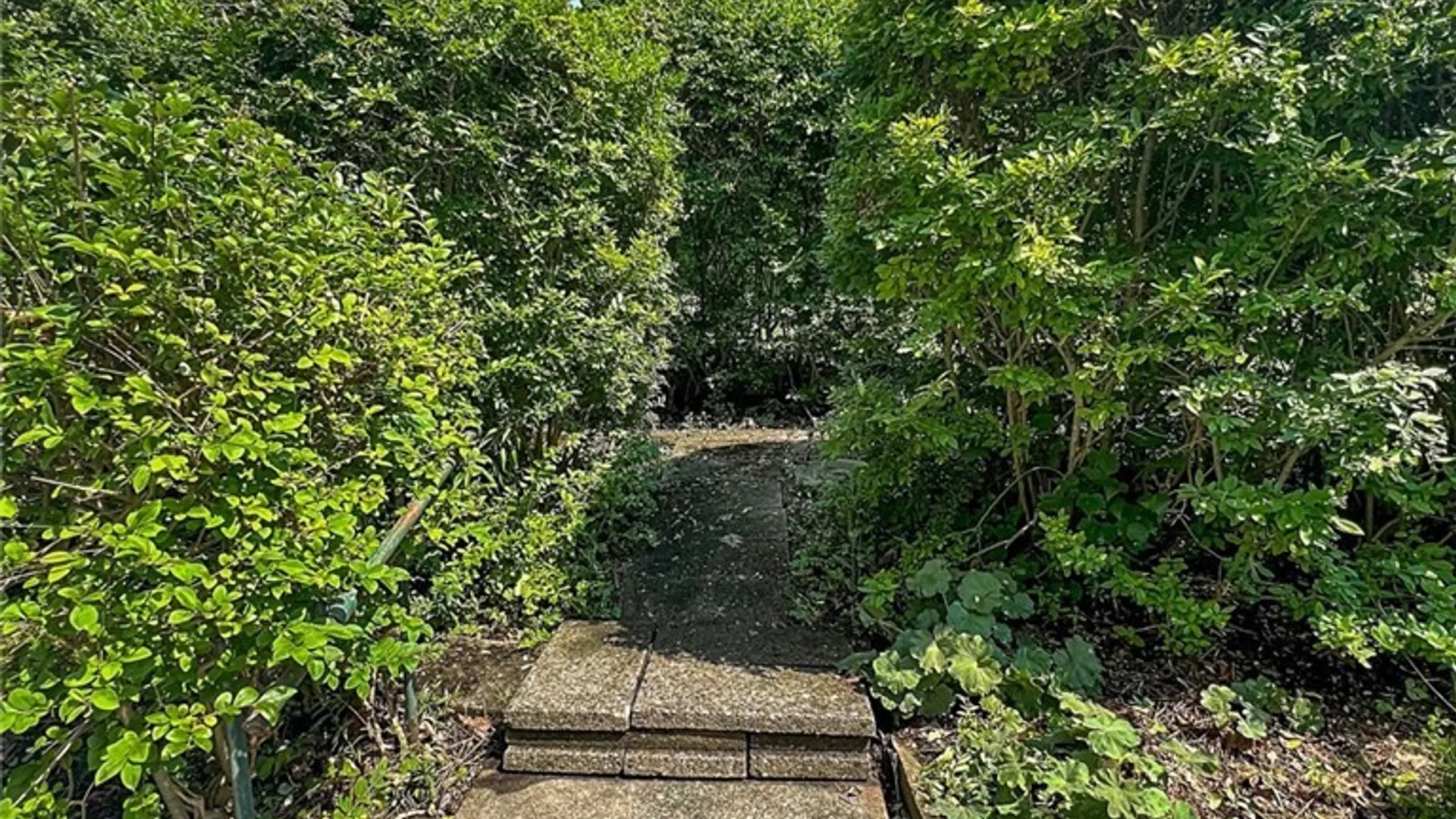 Property at 6112 Lookout Avenue, Chautauqua, NY 14728 39