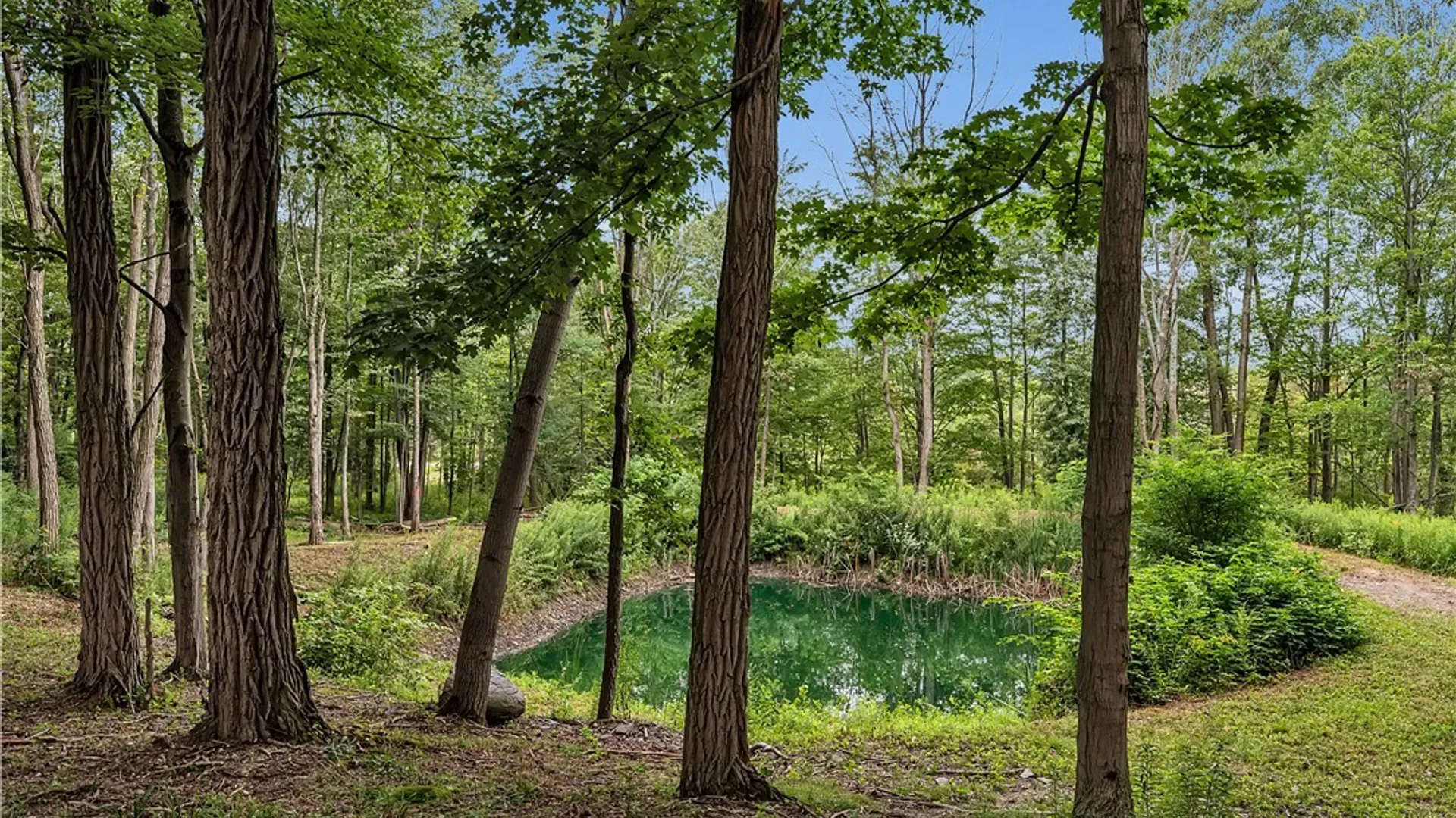 Property at Harlow Road, Darien, NY 14040 10