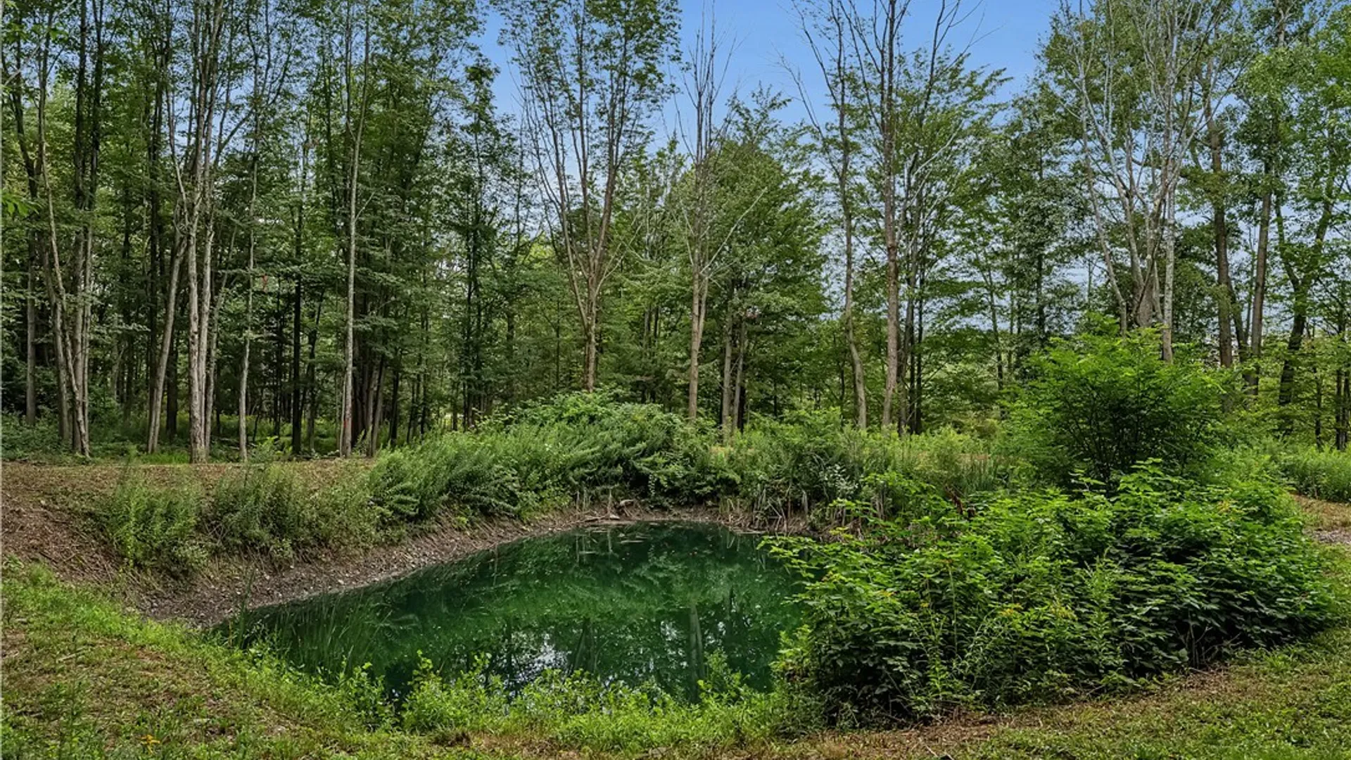 Property at Harlow Road, Darien, NY 14040 11