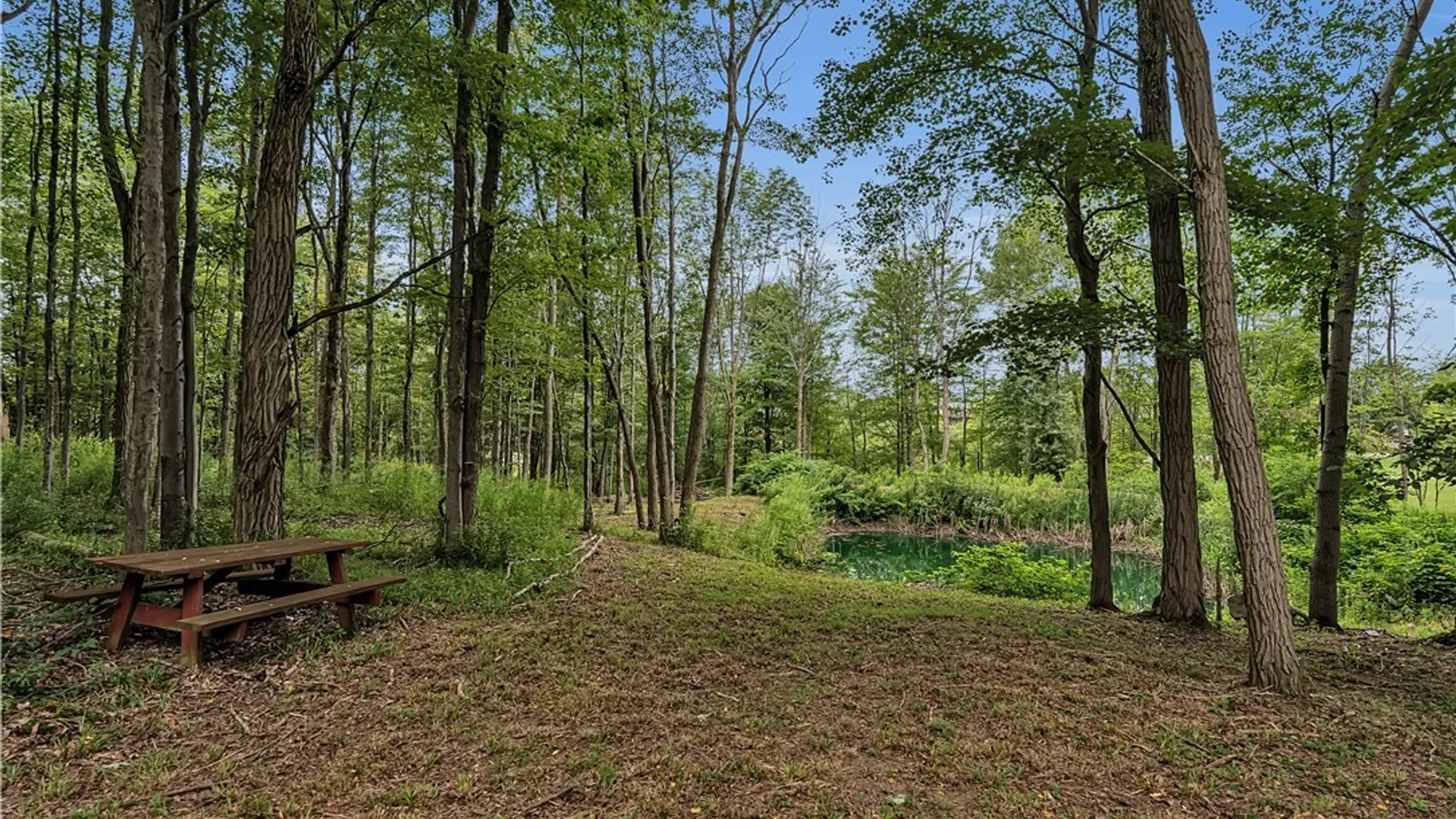 Property at Harlow Road, Darien, NY 14040 12