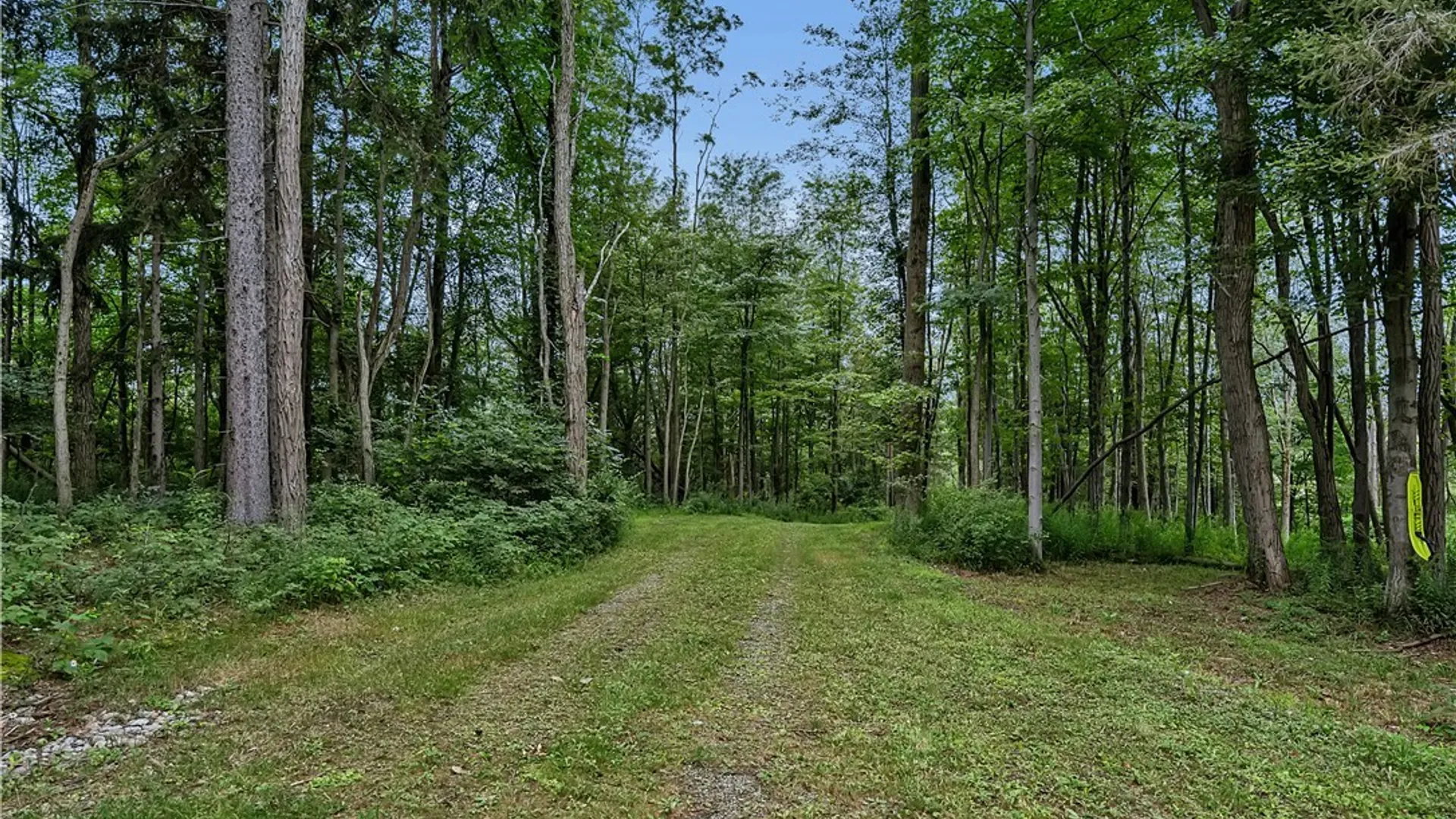 Property at Harlow Road, Darien, NY 14040 13