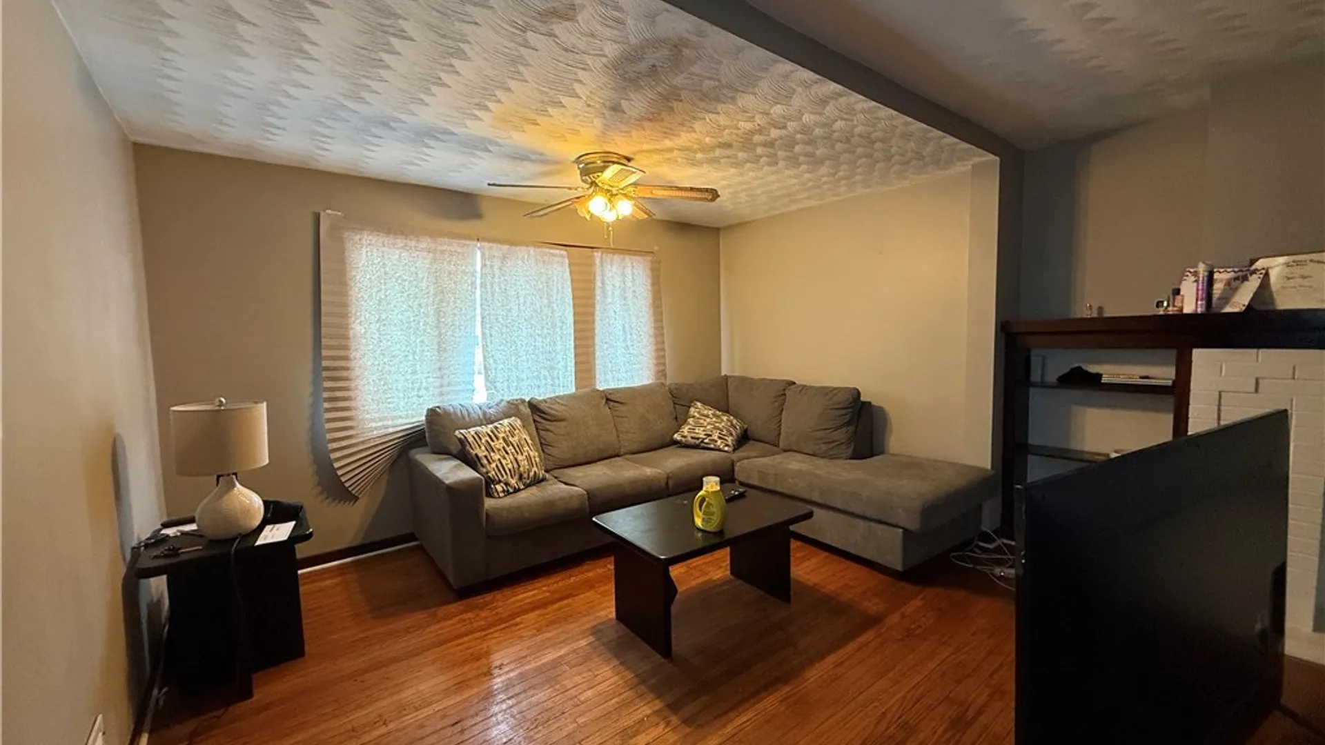 Property at 171 Roesch Avenue, Buffalo, NY 14207 4