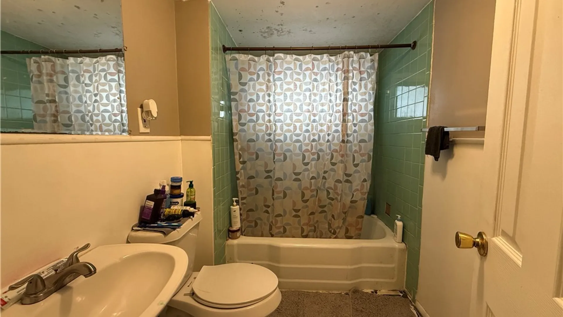 Property at 171 Roesch Avenue, Buffalo, NY 14207 12