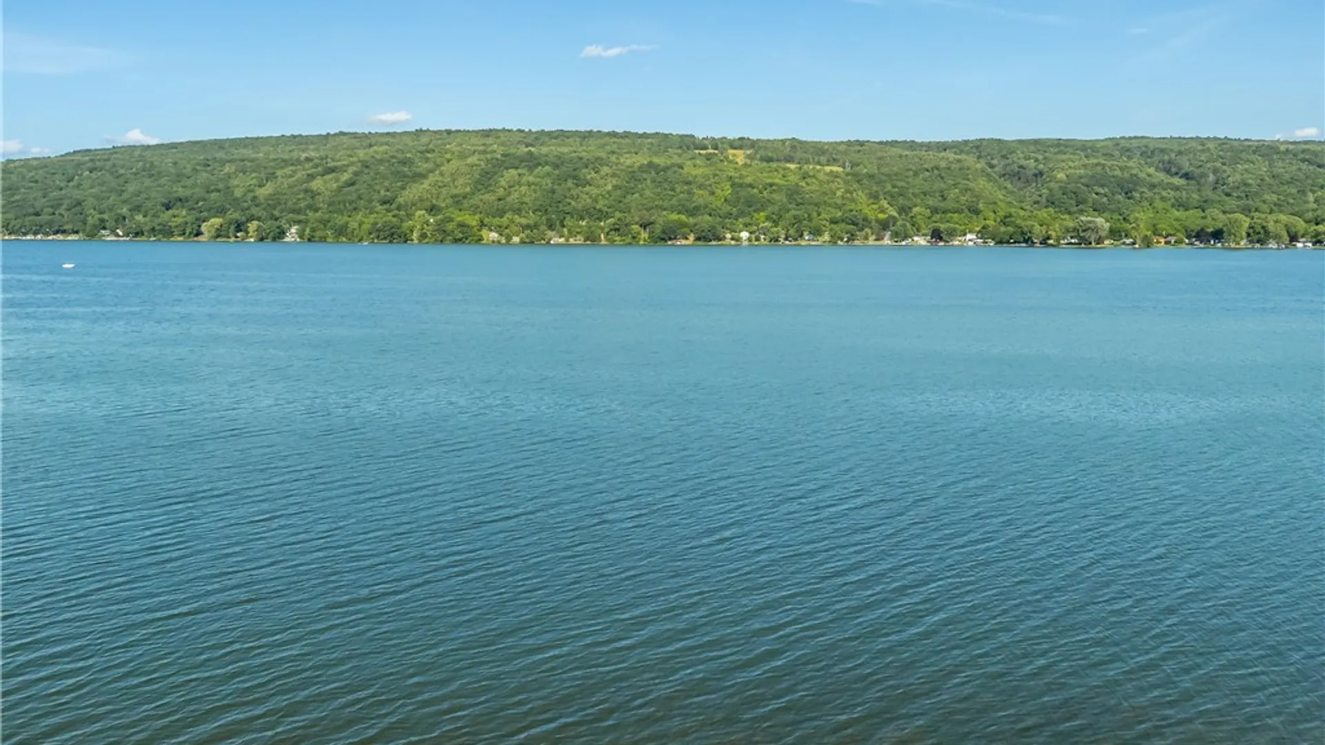 Property at 6019 W Willow Point, Canadice, NY 14471 4