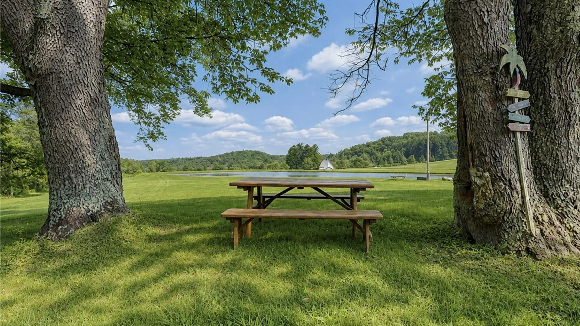 Property at 9905 Rock Springs Road, Ashford, NY 14171 39