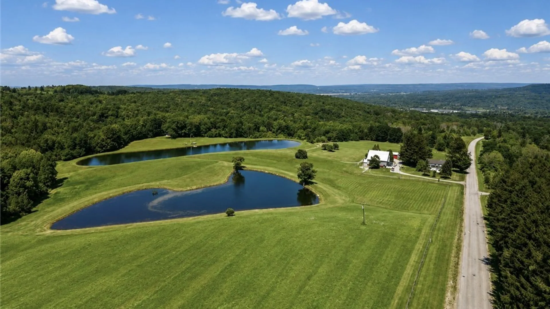 Property at 9905 Rock Springs Road, Ashford, NY 14171 41