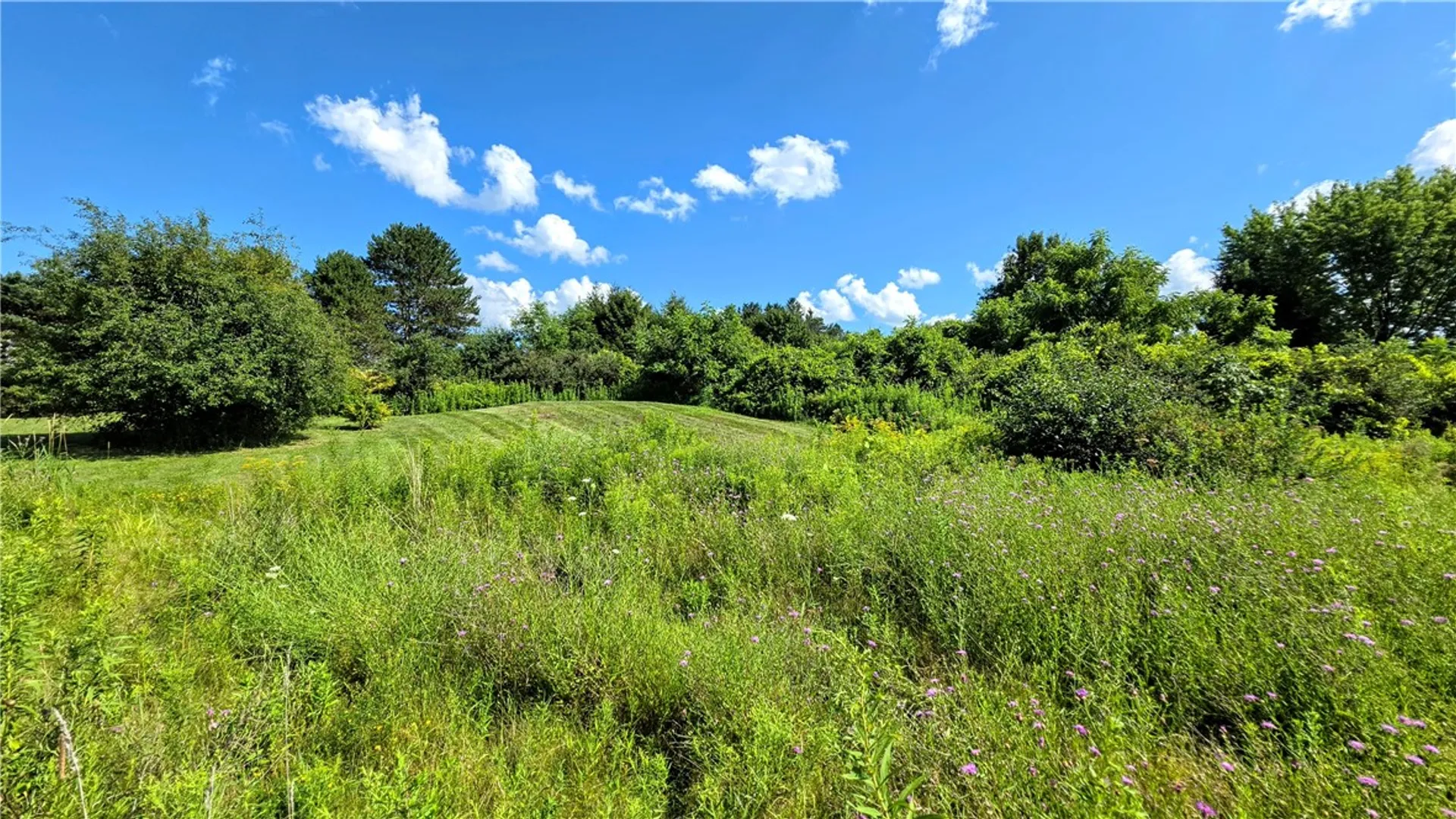 Property at 4056 Halseyville Road, Ulysses, NY 14886 8