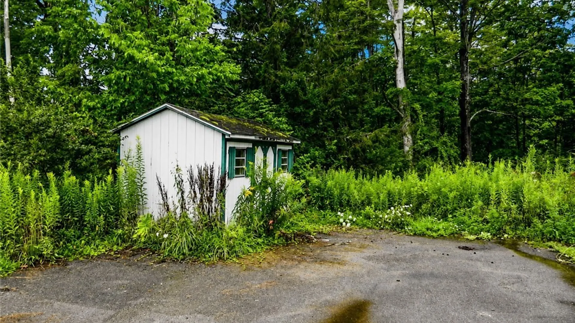 Property at 12022 Mortons Corners Rd, Concord, NY 14141 12