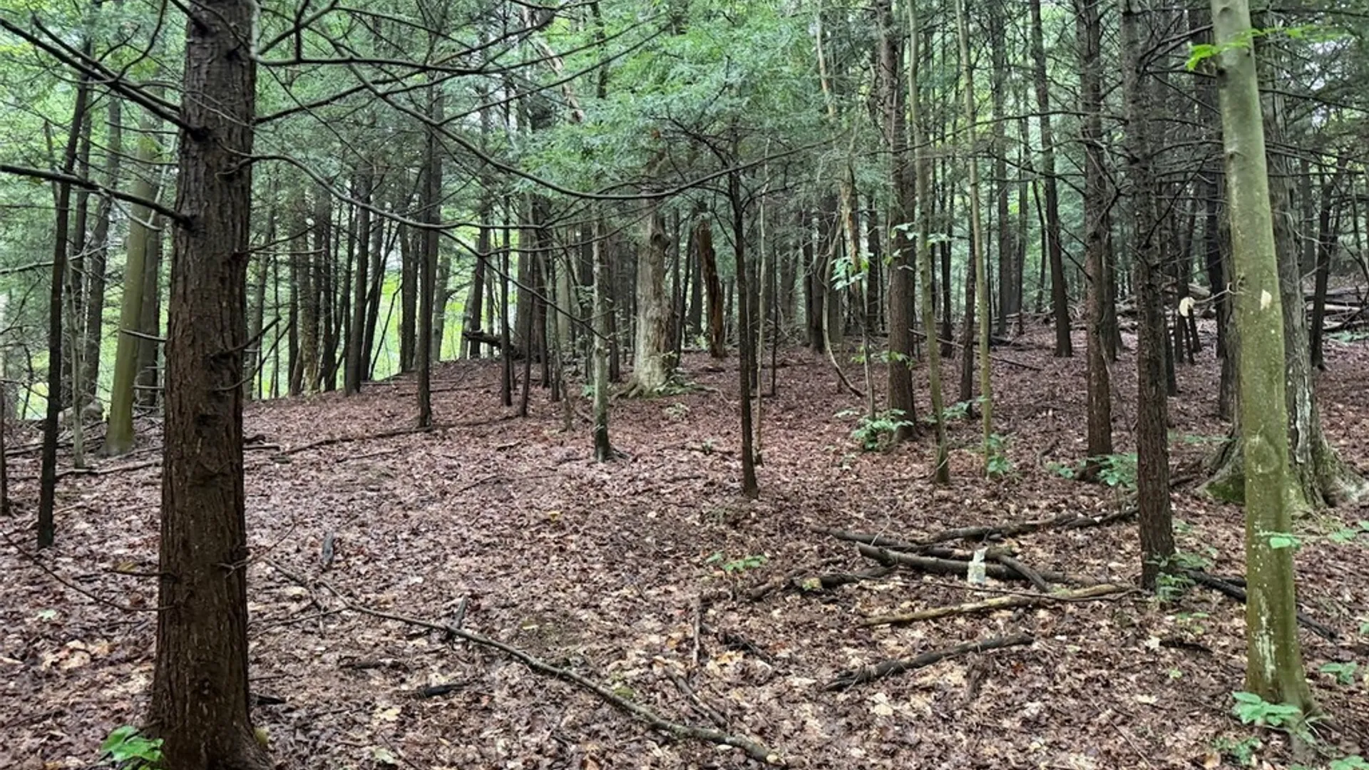 Property at Creek Road, Sardinia, NY 14134 13