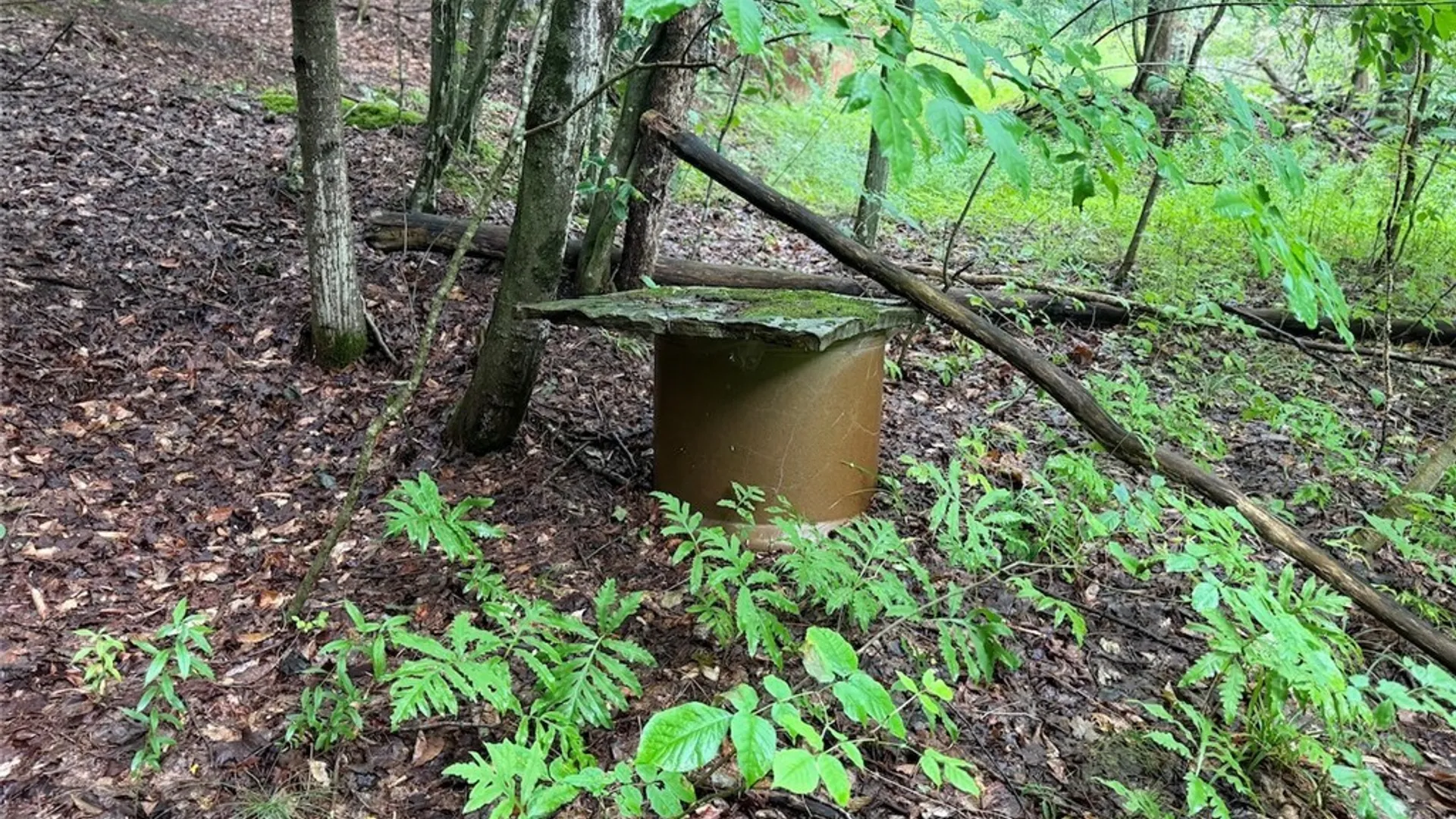 Property at Creek Road, Sardinia, NY 14134 16