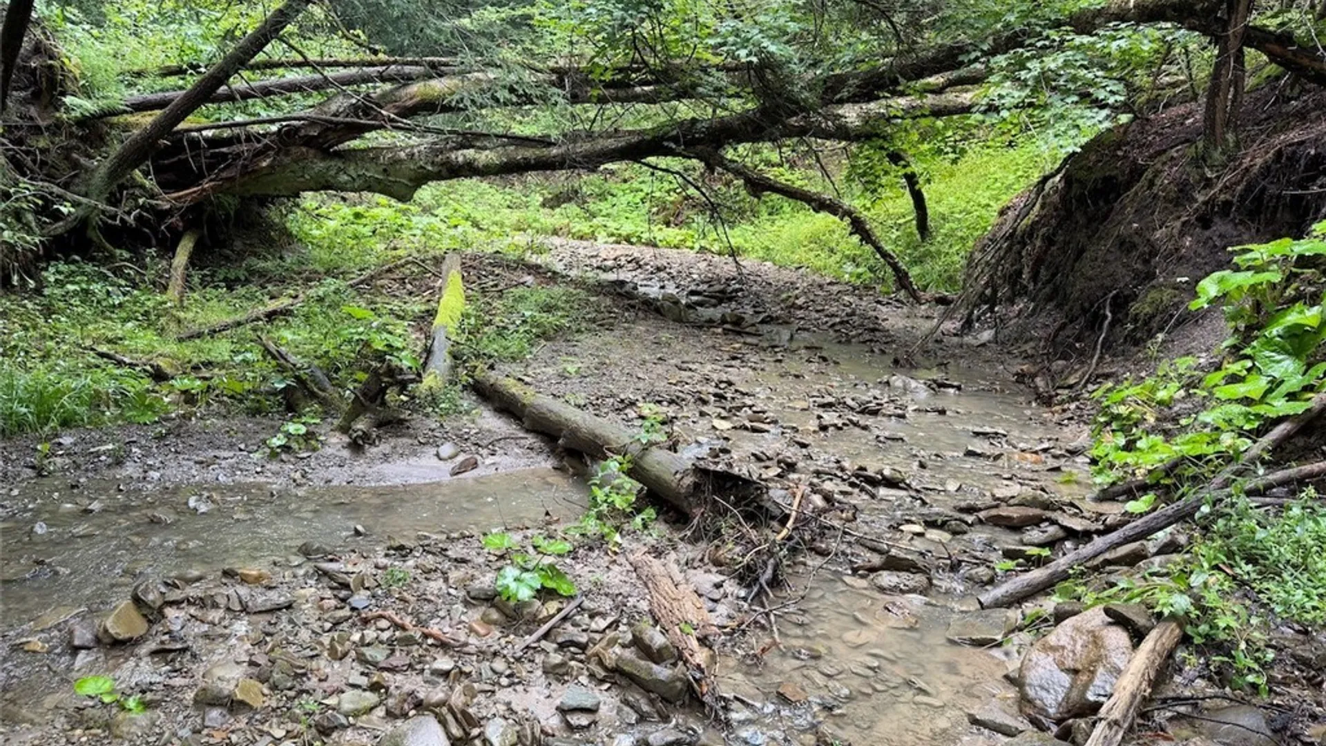 Property at Creek Road, Sardinia, NY 14134 18