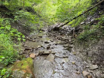 Property at Creek Road, Sardinia, NY 14134