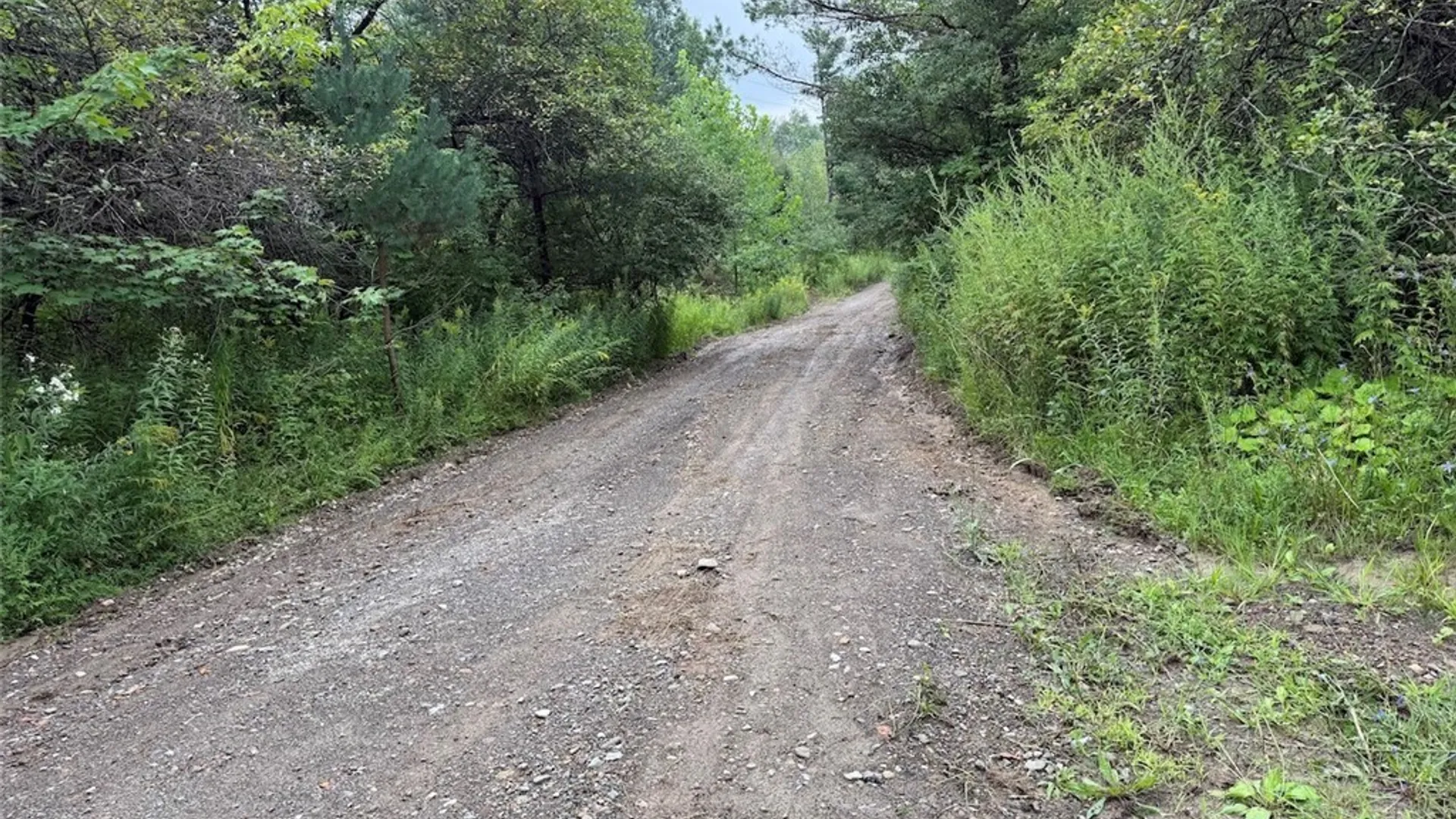 Property at Creek Road, Sardinia, NY 14134 32