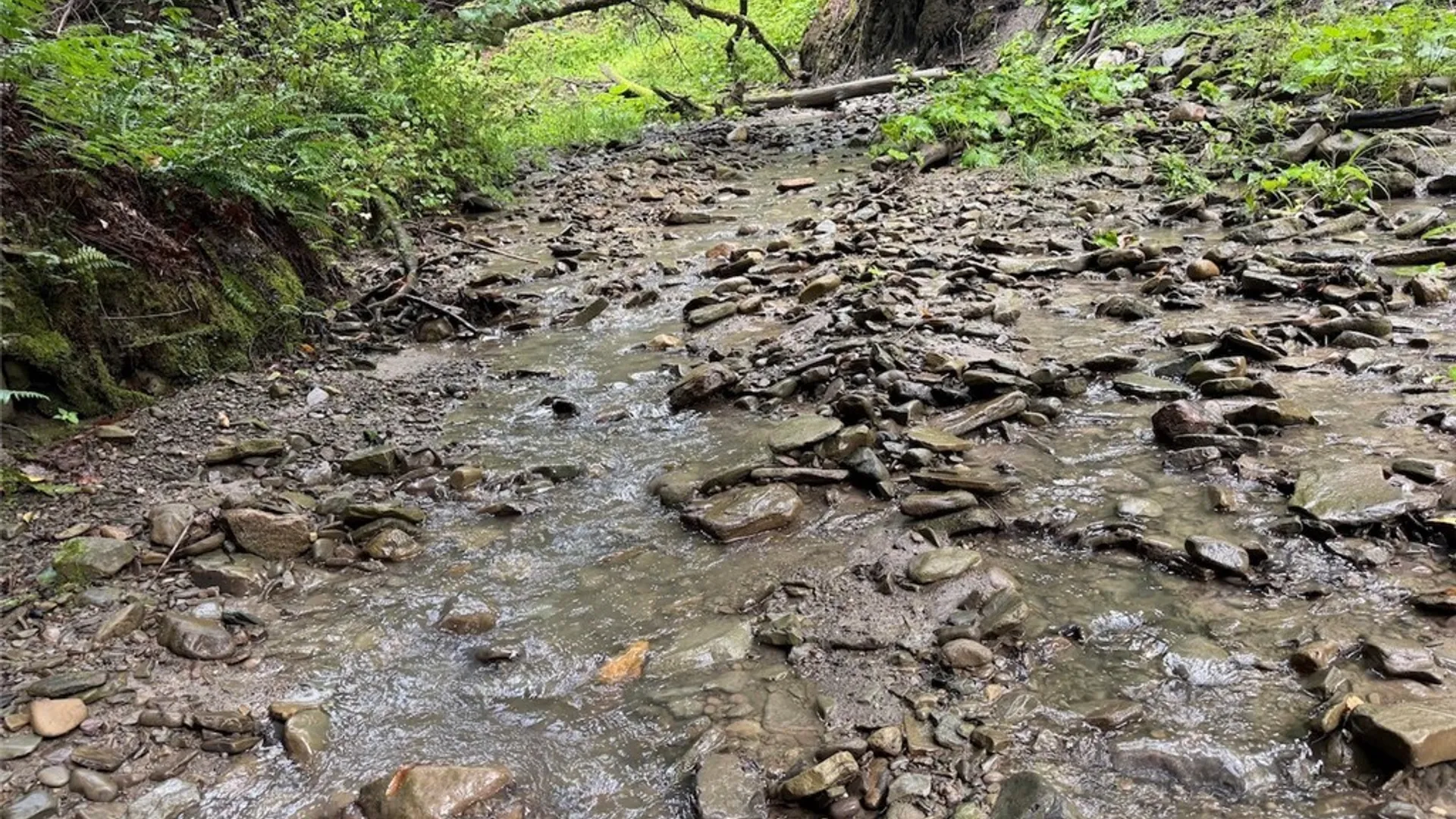 Property at Creek Road, Sardinia, NY 14134 19