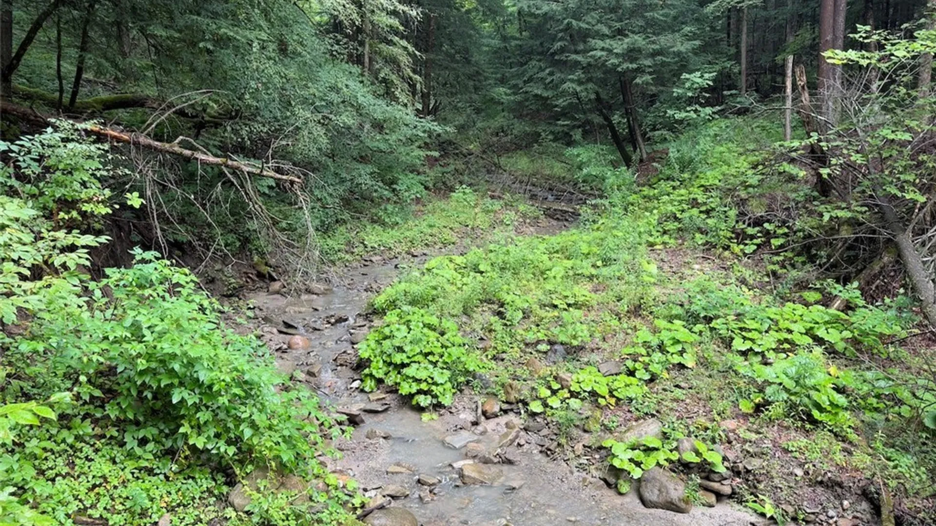 Property at Creek Road, Sardinia, NY 14134 20