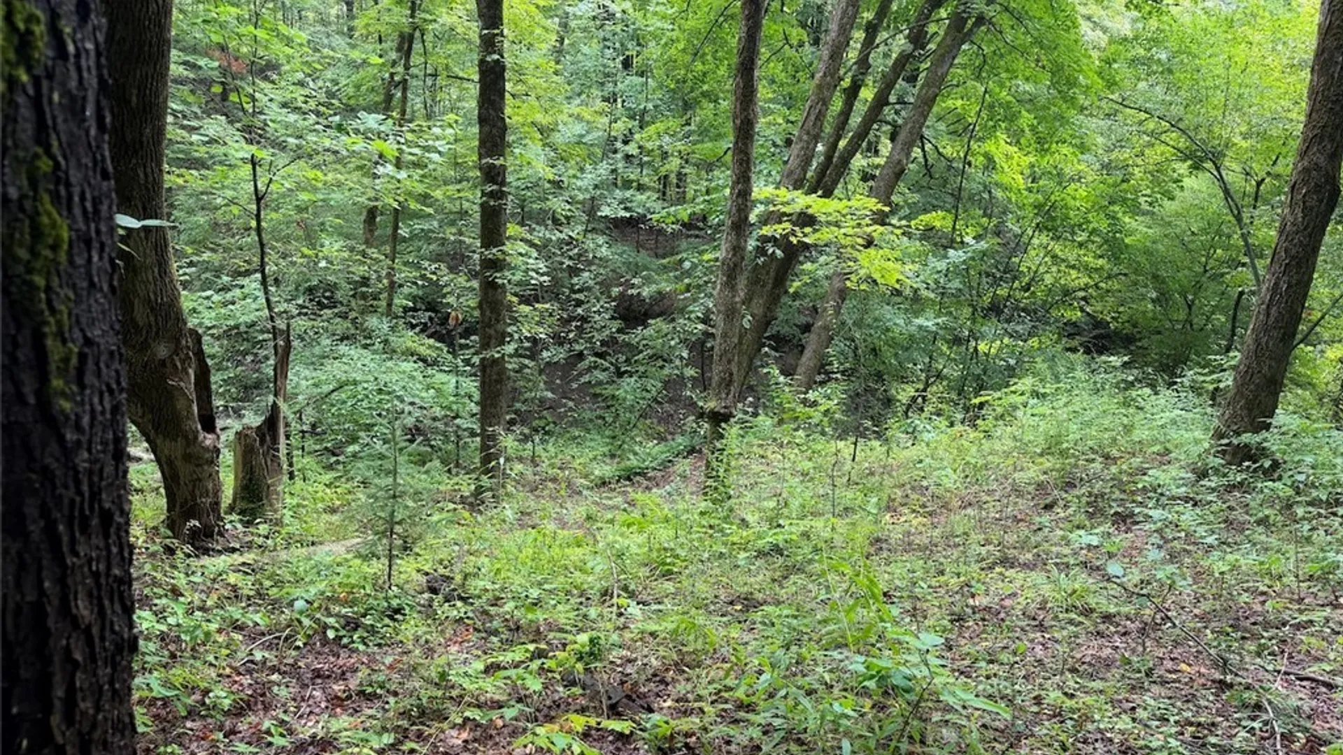 Property at Creek Road, Sardinia, NY 14134 29