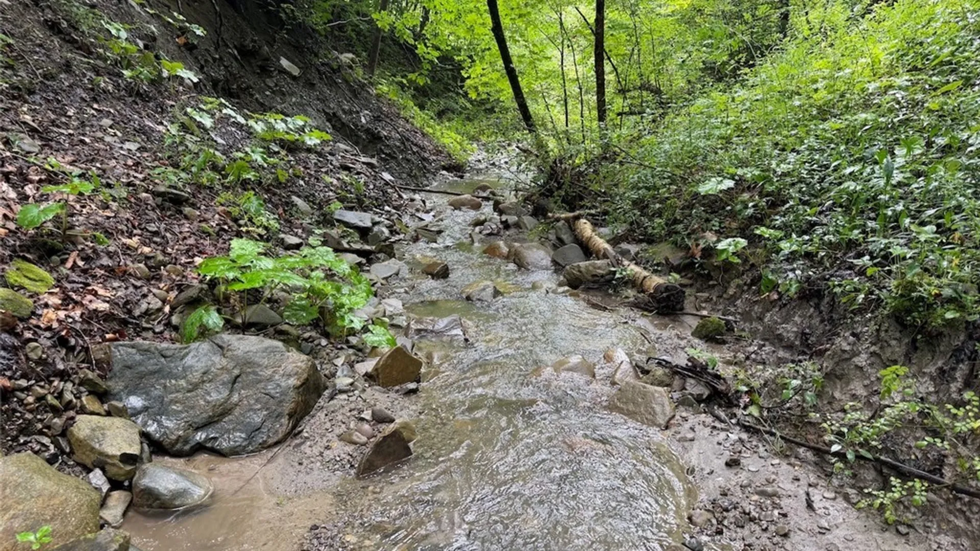 Property at Creek Road, Sardinia, NY 14134 30