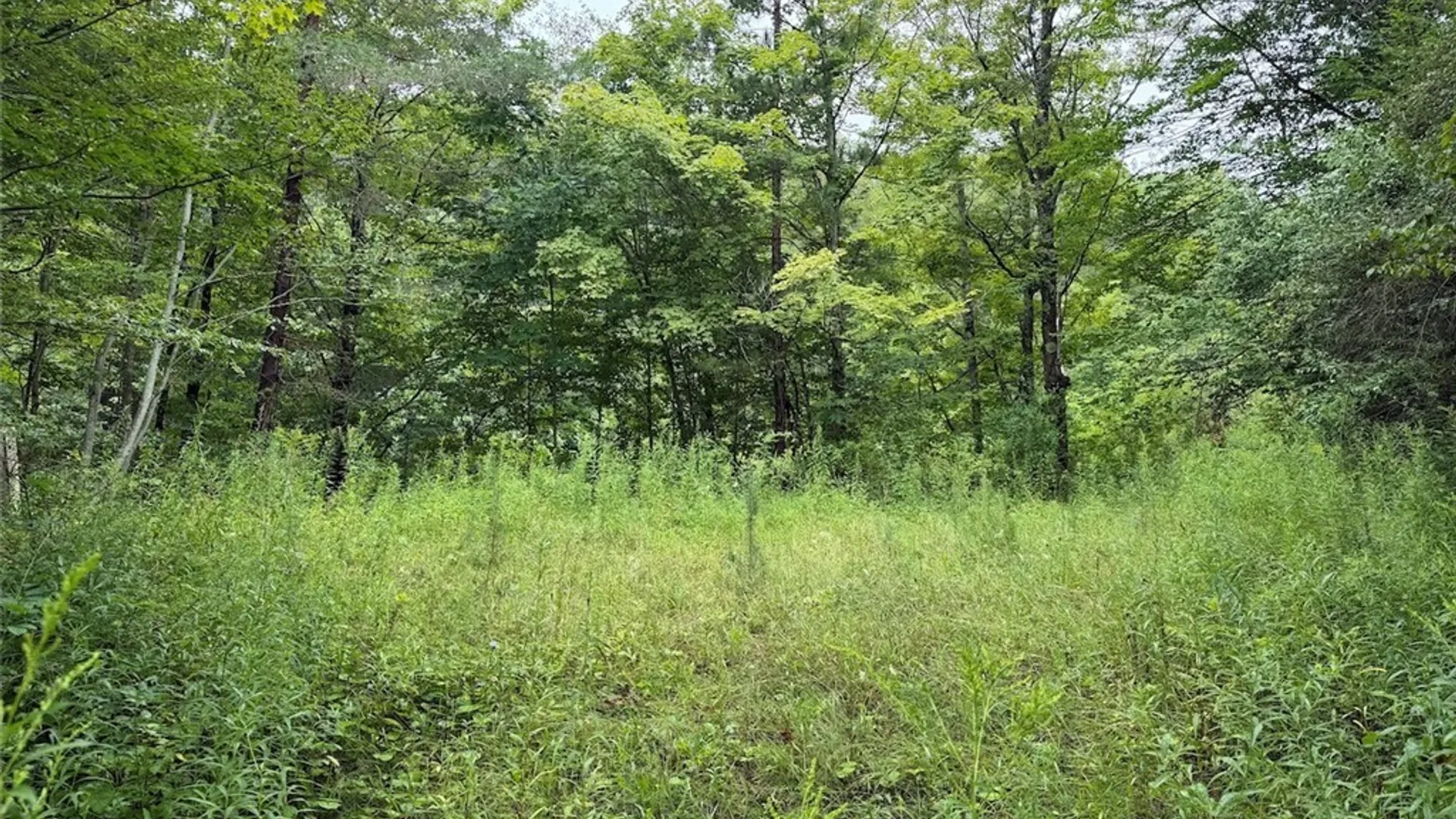 Property at Creek Road, Sardinia, NY 14134 31