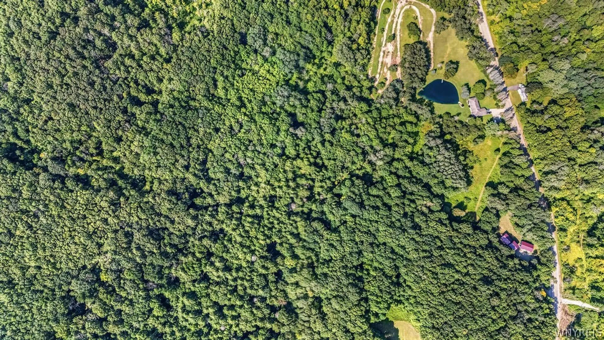 Property at 4927 Gooseneck Road, Yorkshire, NY 14042 41