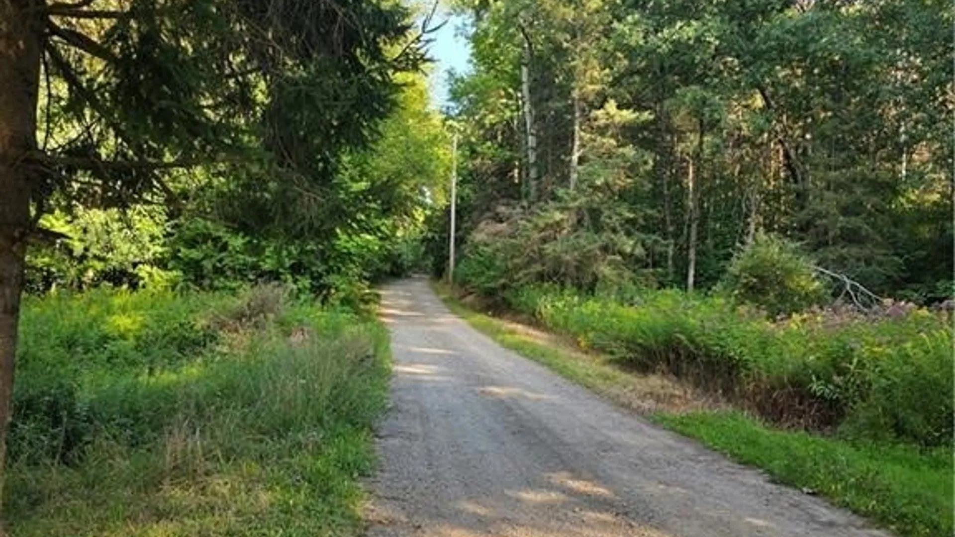 Property at 3196A Syler Road, Orangeville, NY 14167 16