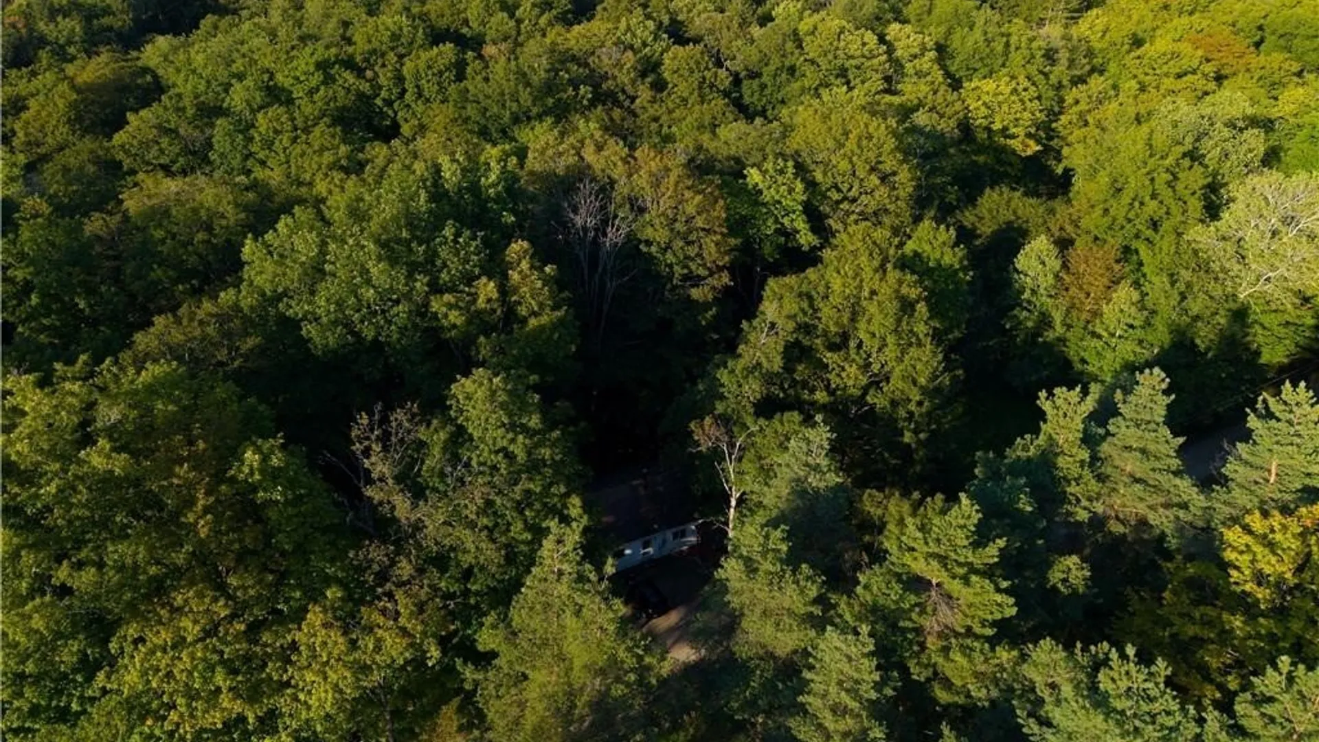 Property at 3196A Syler Road, Orangeville, NY 14167 18