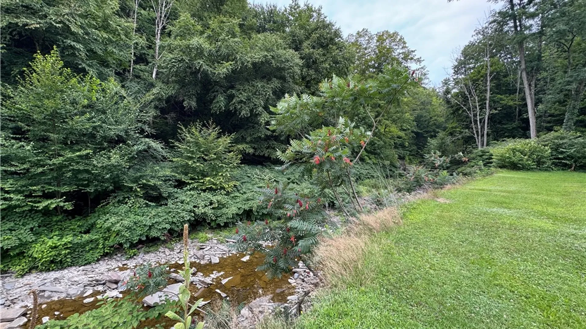 Property at 59 Bixby Street, Bainbridge, NY 13733 37