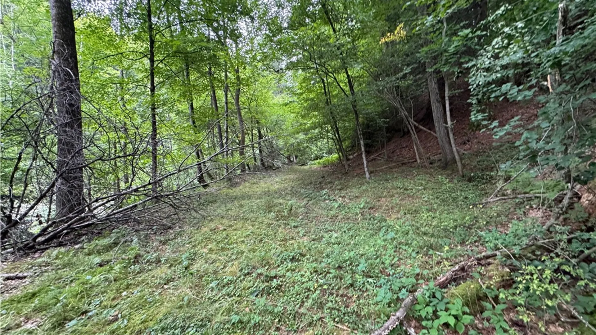 Property at 59 Bixby Street, Bainbridge, NY 13733 35