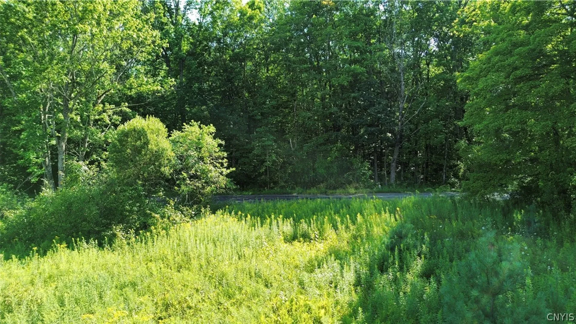 Property at Lot 19 Tiedman Road, Oppenheim, NY 13407 13