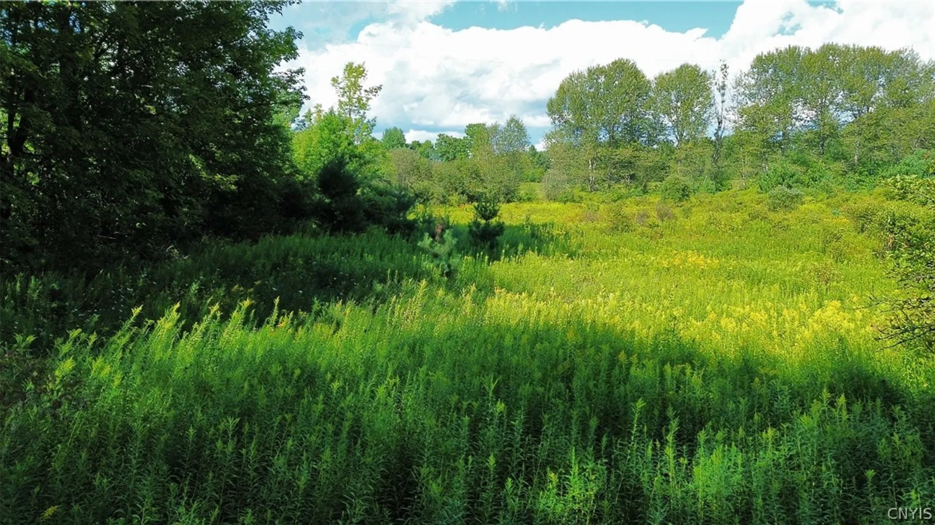 Property at Lot 19 Tiedman Road, Oppenheim, NY 13407 3