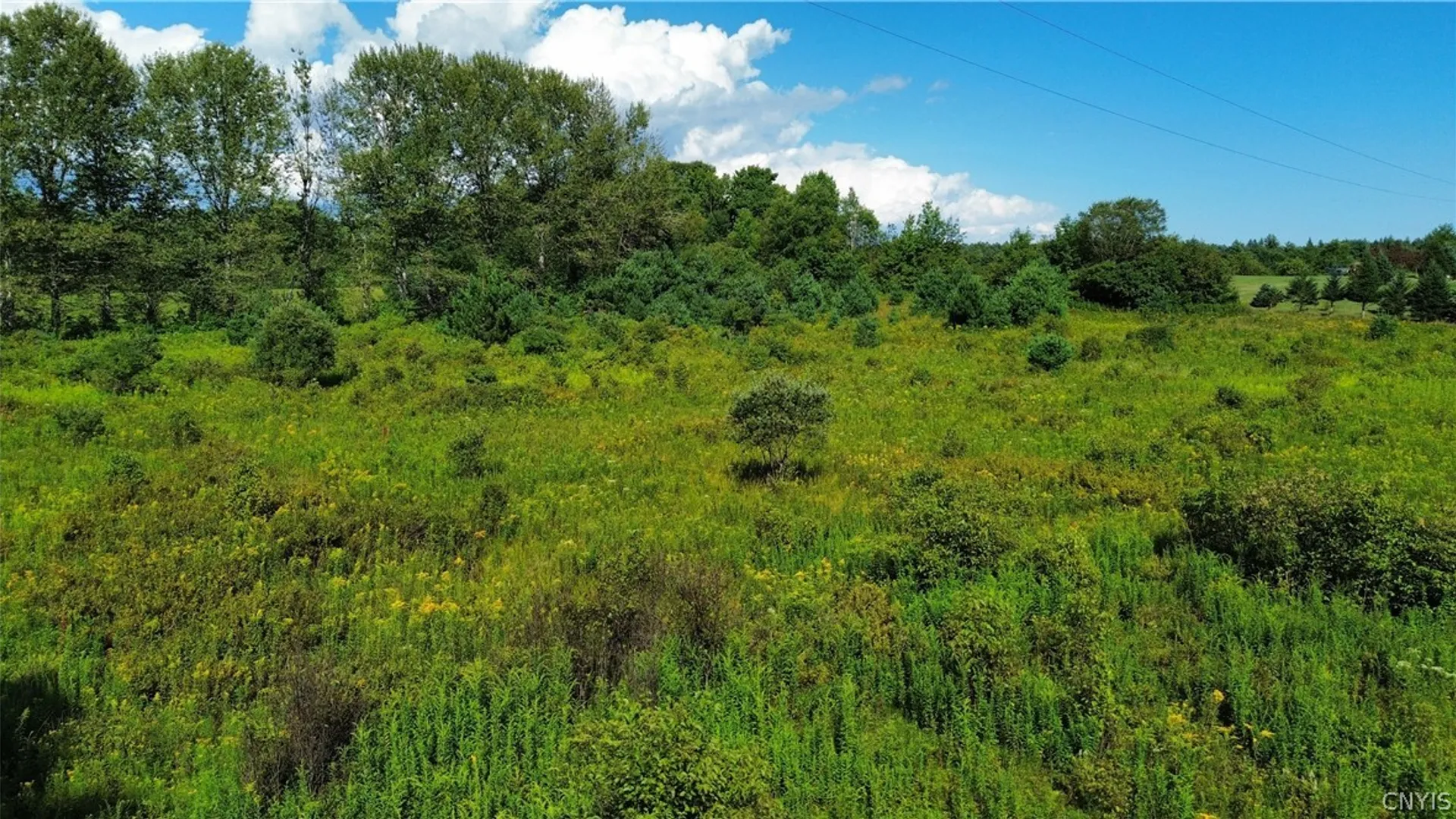 Property at Lot 19 Tiedman Road, Oppenheim, NY 13407 6