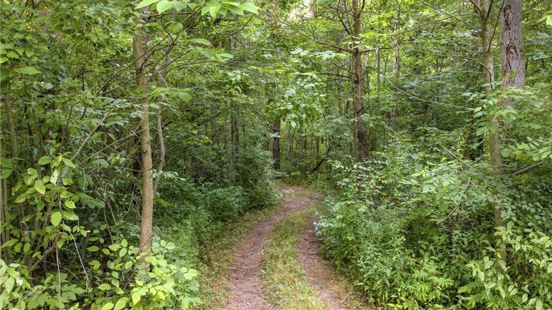 Property at 1700 County Line Road, Alden, NY 14004 41