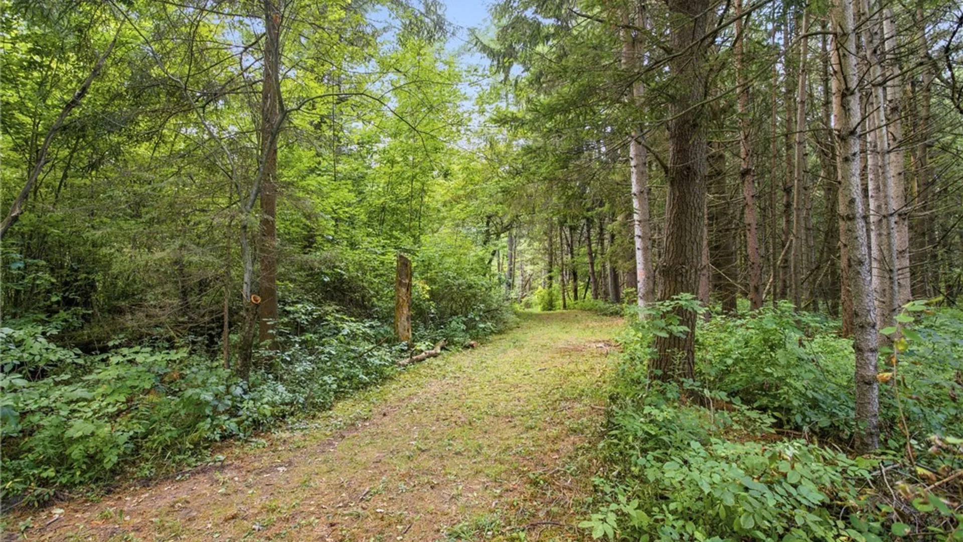 Property at 1700 County Line Road, Alden, NY 14004 45