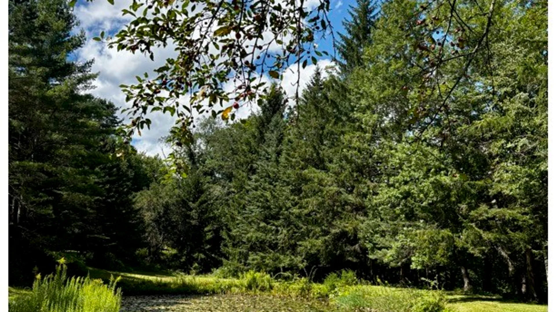 Property at 3 Baker Road, Hardenburgh, NY 12406 16
