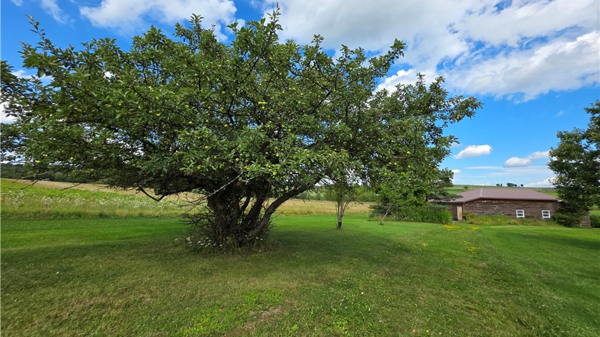 Property at 2644 State Route 36, Jasper, NY 14855 18